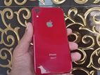 Apple iPhone XR (Used)