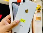 Apple iPhone XR (Used)