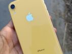 Apple iPhone XR (Used)