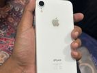 Apple iPhone XR (Used)