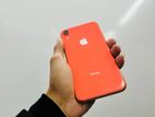 Apple iPhone XR (Used)