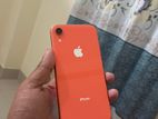 Apple iPhone XR (Used)