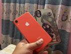 Apple iPhone XR (Used)