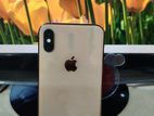 Apple iPhone XS 256 GB (Used)