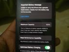 Apple iPhone XS (256 GB) (Used)