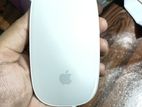 Apple Magic Mouse 1