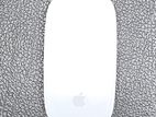 Apple Magic Mouse 2 & Rapoo MT 760