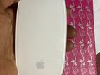 Apple Mouse