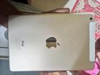 Apple New (New)