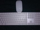 Apple Orginal Magic Mouse-2 & Keyboard