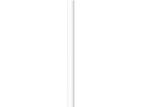 Apple Pencil (1st Generation) -