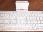 Apple real keyboard.. Model:A1359..(Class B specification)(ICES-003)