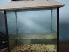 Aqriam For Sale