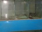 Aquariums for sell