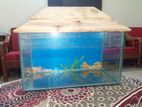 Aquariam for sell