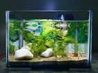 Aquarium 1 feet. (only glass)