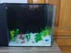 Aquarium 1.5 Feet with Filter