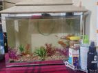 Aquarium 16inch with Colourful Fishes And All Kind Of Accessories