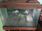 Aquarium 2 Ft