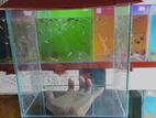 Aquarium (9"/6"/9")