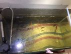 aquarium and fish for sell