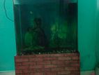 Aquarium for sell