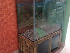 Aquarium for sell