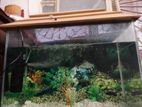 aquarium for sell