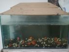 Aquarium fish tank