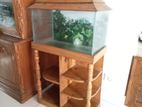 Aquarium Fish Tank