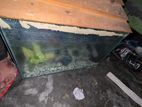 Aquarium for sell