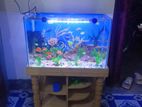 Aquarium for sale