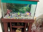 Aquarium for sale