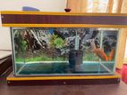 Aquarium