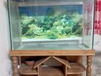 Aquarium for sell