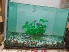 Aquarium for sell