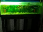 Aquarium For Sell