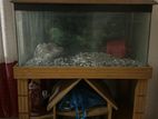 Aquarium sell