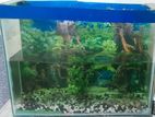 Aquarium For Sell.