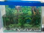 Aquarium for sell