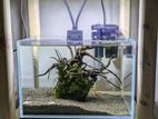 Aquarium for sell