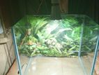 Aquarium Setup For Sell.