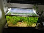 Aquarium for sell