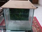 Aquarium For Sell