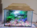 Aquarium for sell