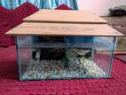 Aquarium for sell