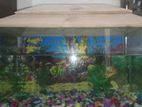 Aquarium for sale