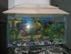 Aquarium for sale