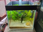 Aquarium for sell