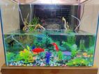 Aquarium for sell